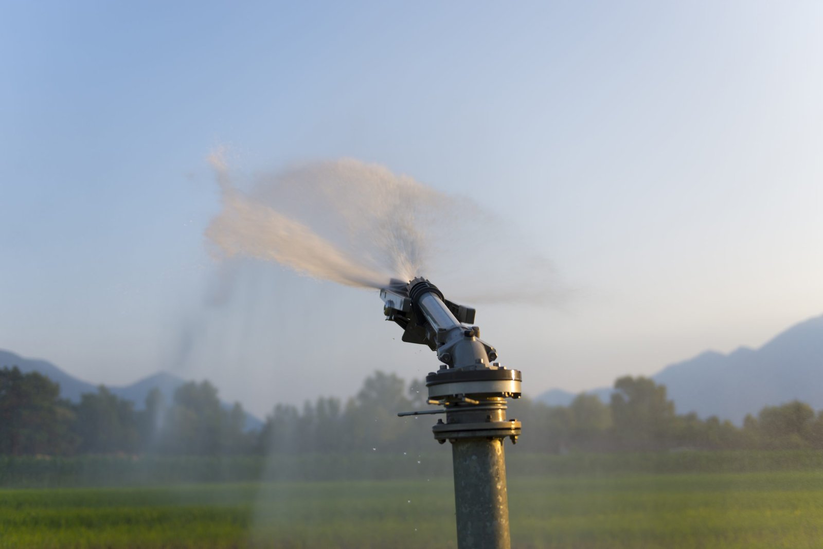 Irrigation & Sprinkler Repair Services